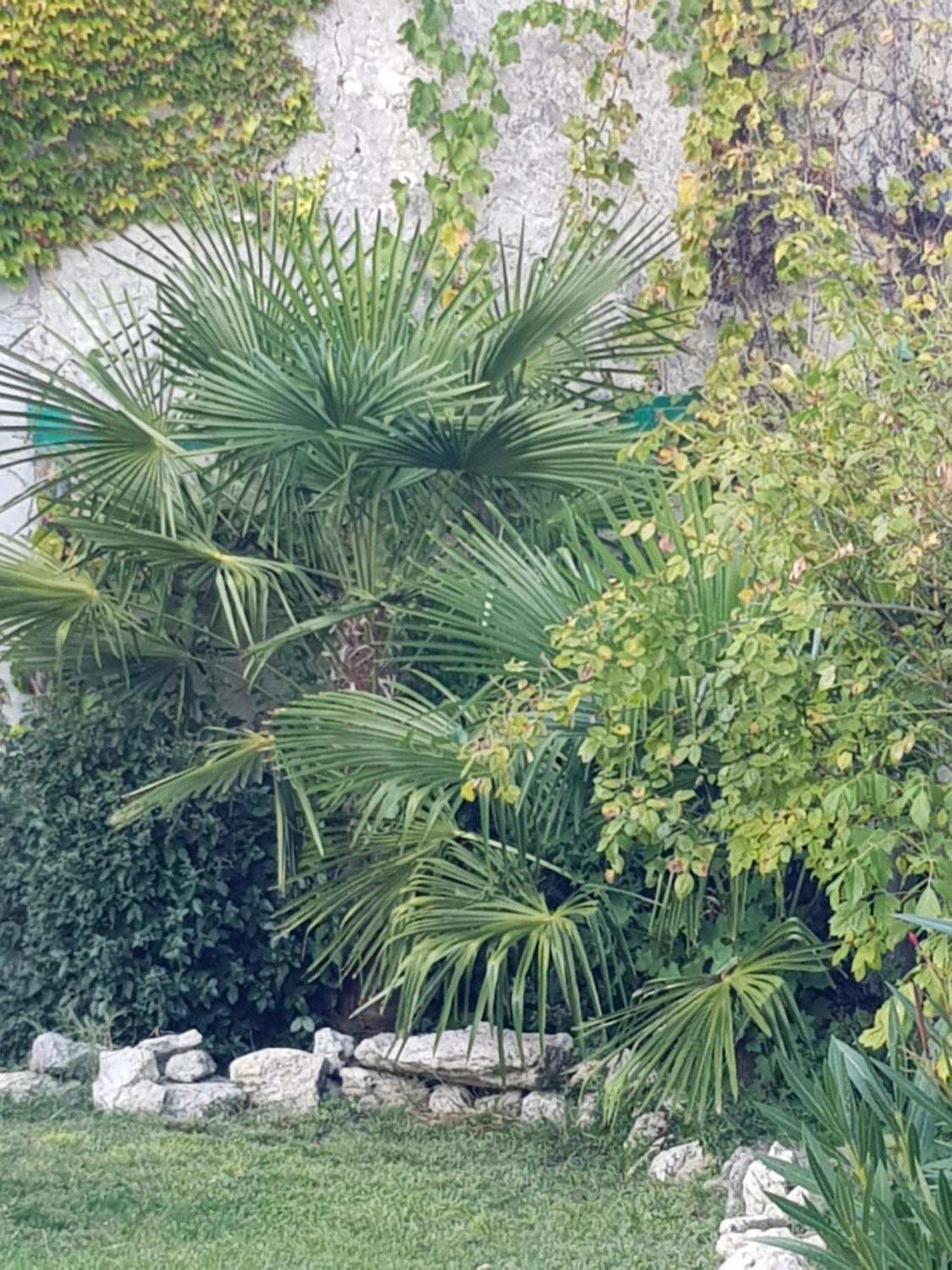 La Maison Malabar Villefranche-du-Queyran Exteriér fotografie